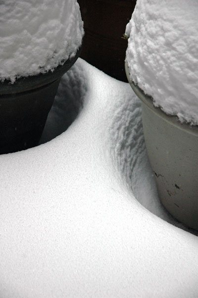 winter_pots_March_2_2009.jpg