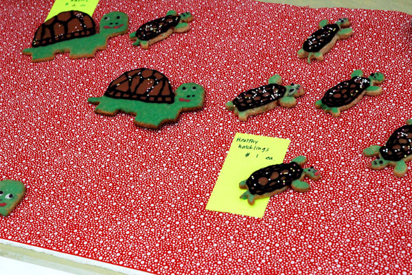Little_Cakes_Turtle_Club.jpg