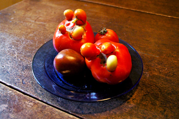 heirloom_tomatoes.jpg