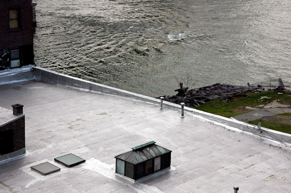 DUMBO_roofhouse.jpg