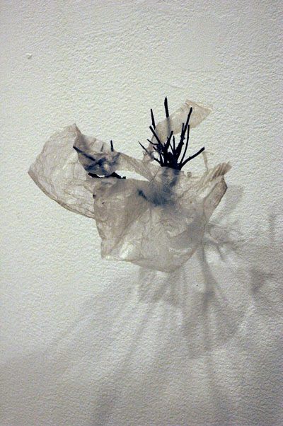 Hunter College 2009 MFA thesis exhibition - continues - jameswagner.com