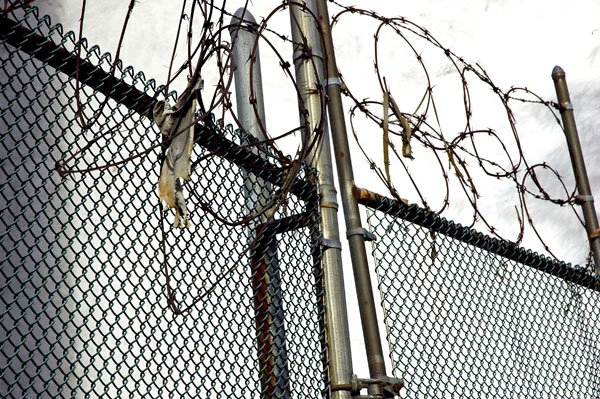 razor_wire_Henry_Street.jpg