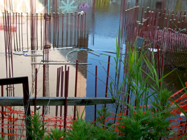 rebar_pond_Berry_St.jpg