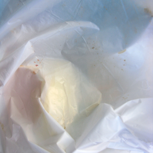 untitled_0420.jpg