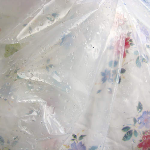 untitled_0462.jpg