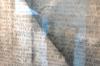 Banner_Fiona_Nude_detail.jpg