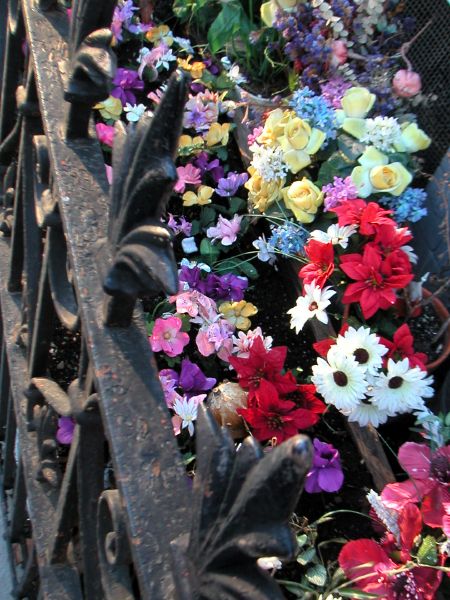 Berryflowers.jpg