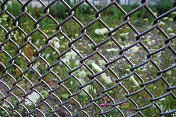 Bushwick_lot_1.jpg