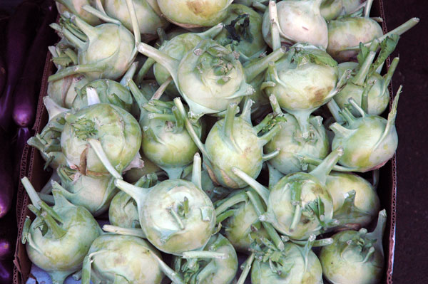 Kohlrabi_land_mines.jpg