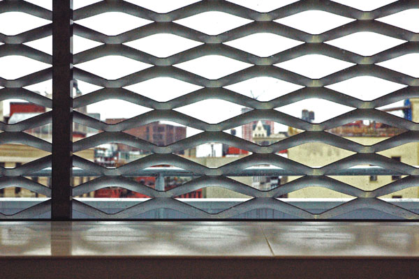 New_Museum_window_with_mesh.jpg
