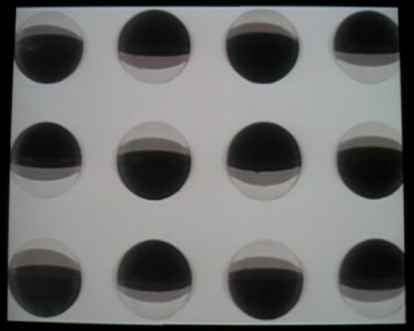 PettersonAra12Ball.jpg