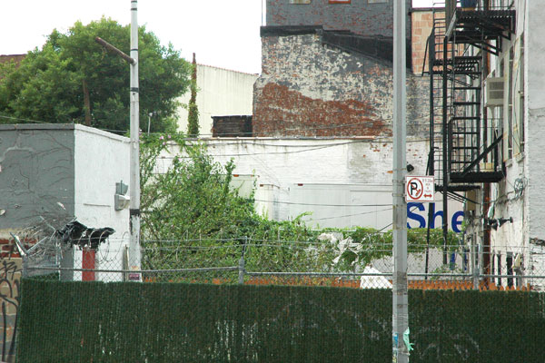 Roebling_fence.jpg