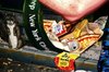 SanfordTomTriumphdetail.jpg