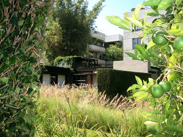 Schindlerhouse.JPG