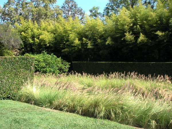 Schindlerterrace.JPG