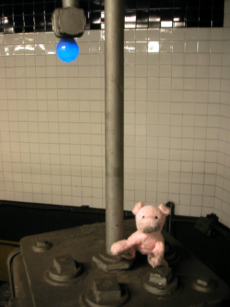 bluelightpinkbear.JPG