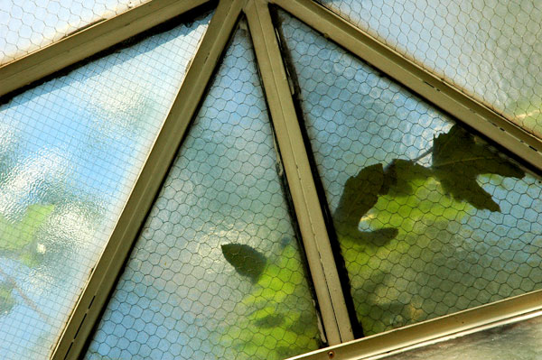 chicken_wire_glass_skylight.jpg