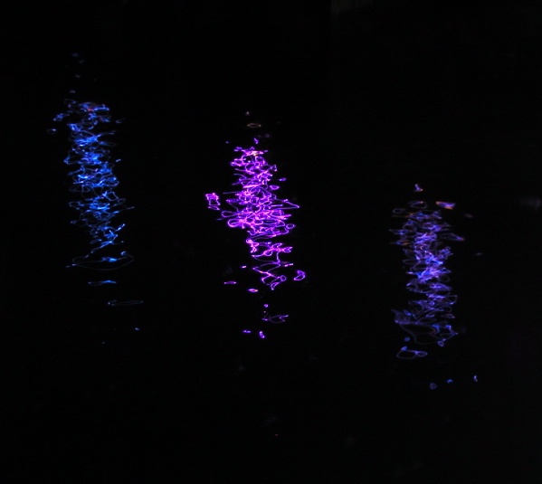 covewithbluelights.JPG