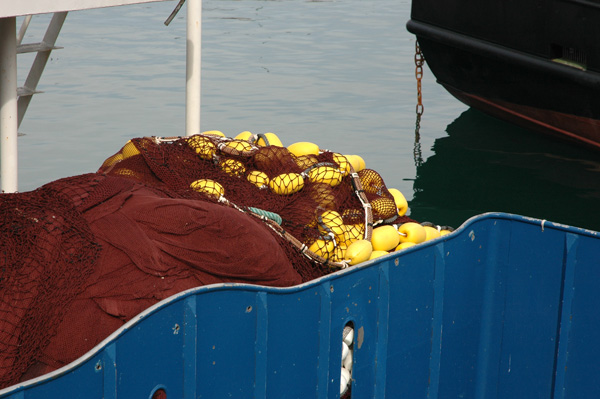 floats.jpg