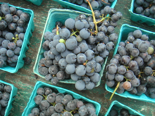 grnmktgrapes.jpg