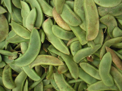 grnmktlimabeans.jpg