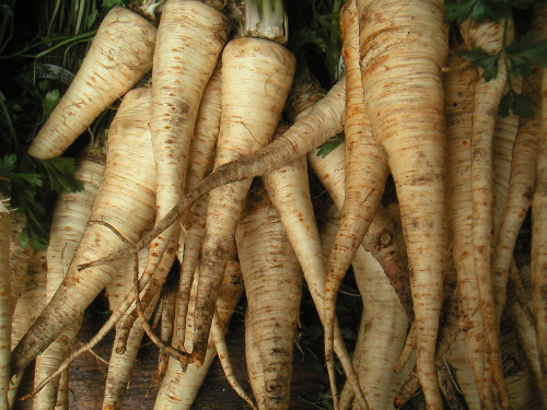 grnmktparsnips.jpg