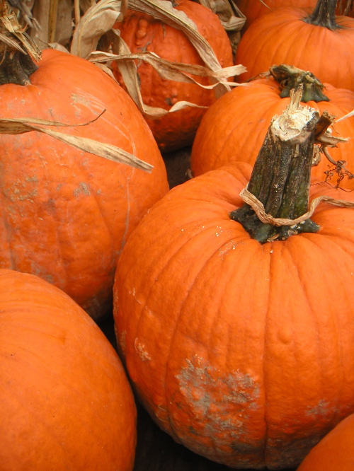 grnmktpumpkins.jpg