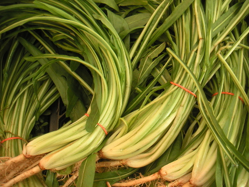 grnmktpuntarelle.jpg