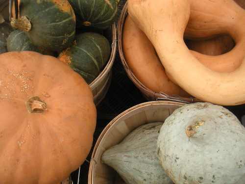 grnmktwintersquash.jpg