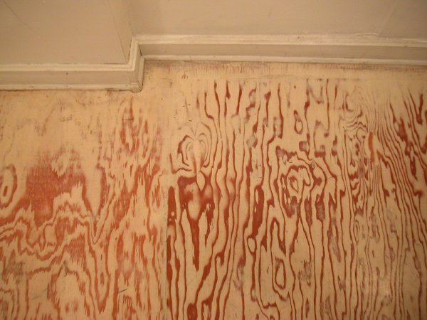 phatoryfloormopb.jpg