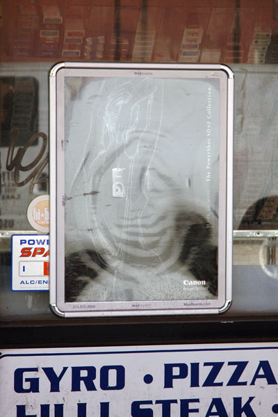 reflection_1.jpg