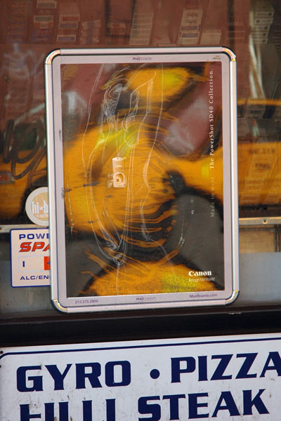 reflection_2.jpg