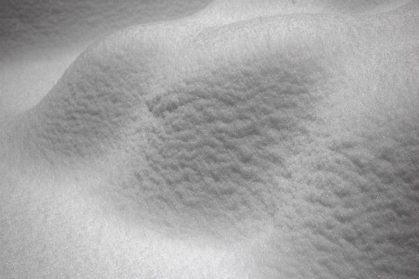 snowfold32006.jpg
