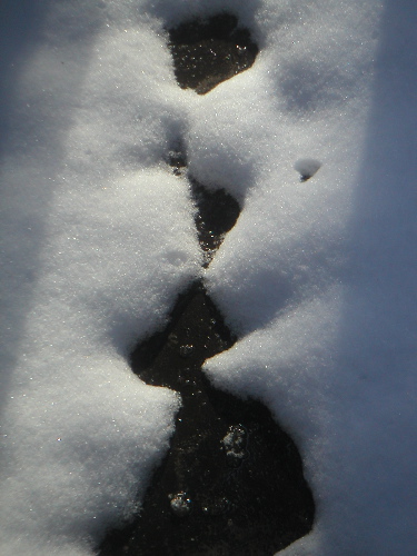 snowroof.jpg