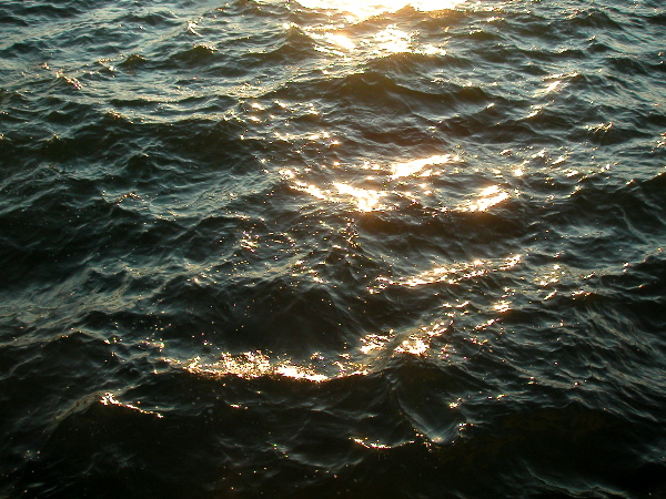 waveslit.JPG