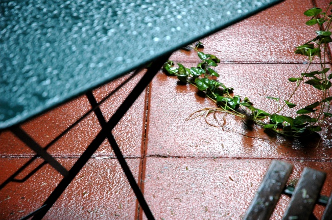 roofwet1%3A07.jpg